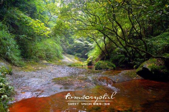 打通宣传服务群众“最后一公里”,泰州医药高新区(高港区)“两中心一平台”揭牌