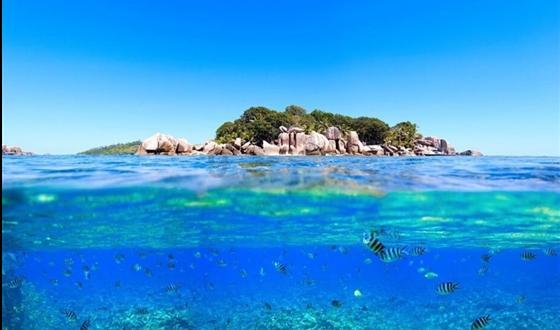 夏天怎么给花浇水？游戏画面